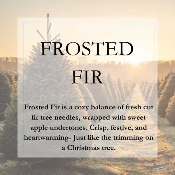 Frosted Fir || 16oz Pure Soy || Mason Jar Candle
