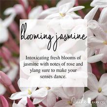 Load image into Gallery viewer, Blooming Jasmine  4oz TIN Soy Candles