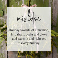 Load image into Gallery viewer, * Winter Sample Kit